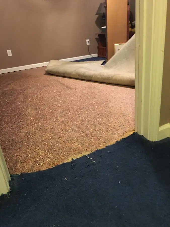 Carpet pad removal revealing water damage during Water Mitigation Services in Buxton